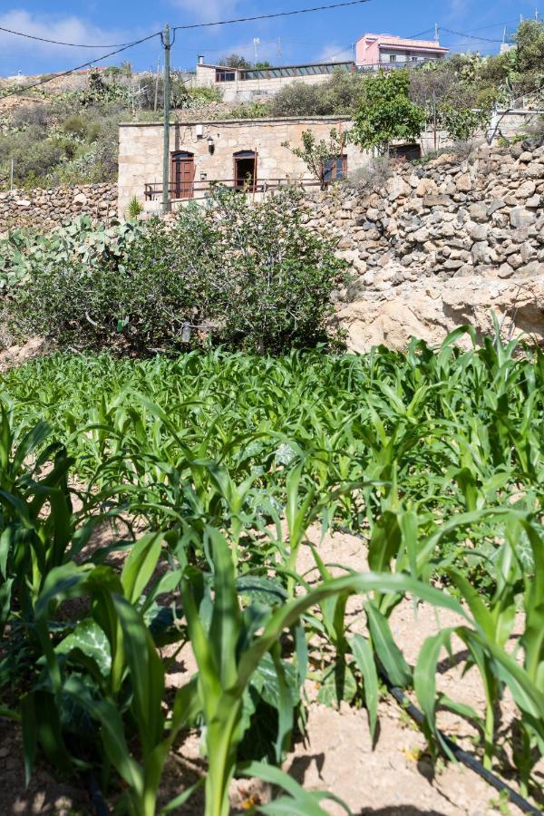 فيلا Eco Holidays House Raices Fasnia المظهر الخارجي الصورة