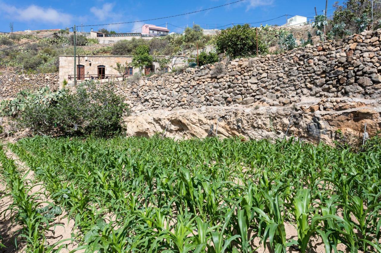 فيلا Eco Holidays House Raices Fasnia المظهر الخارجي الصورة